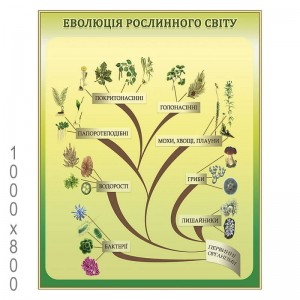 Учебный плакат по биологии -  
                                            Плакаты для кабинета биологии  