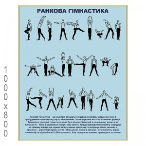 Плакат по физической культуре -  
                                            Плакаты защита отечества  