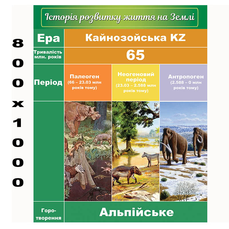 Плакат з біології "Кайнозойська ера"