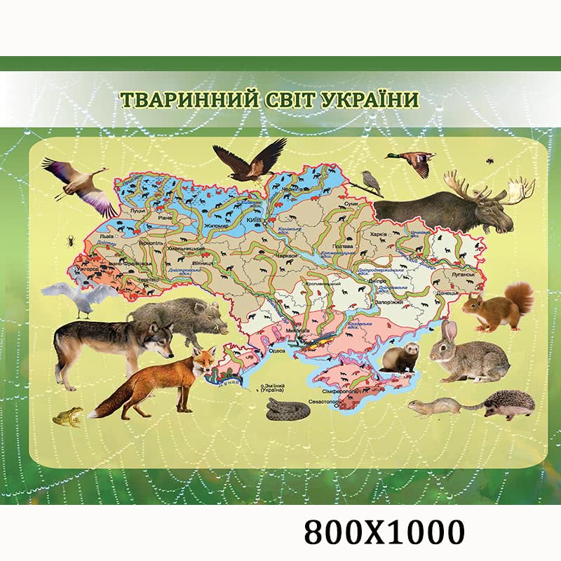 Плакат по биологии "Животный мир Украины"